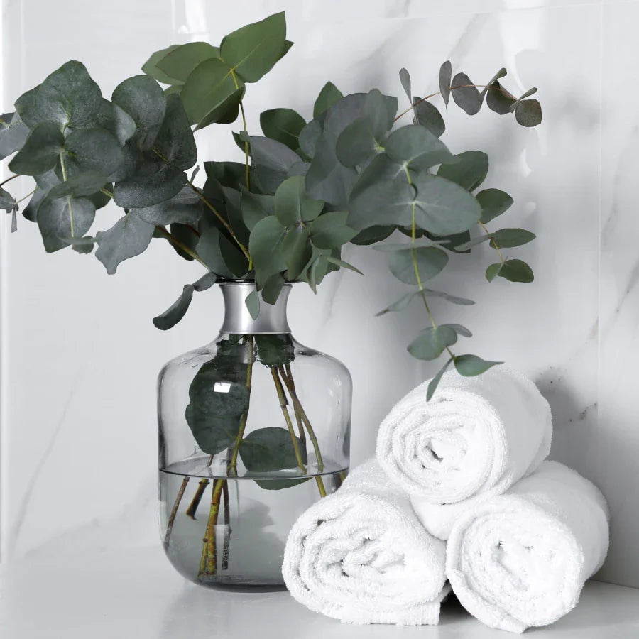 White Eucalyptus- 12oz Candle