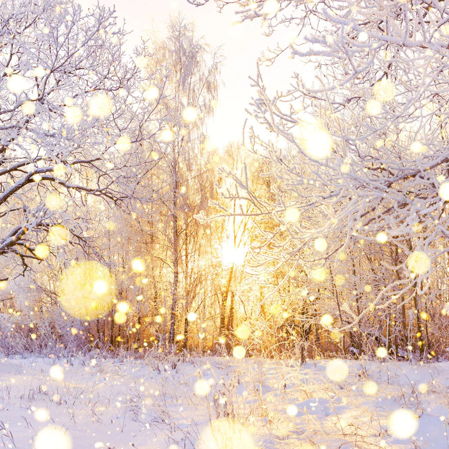 Winter Wonderland- 12oz Candle