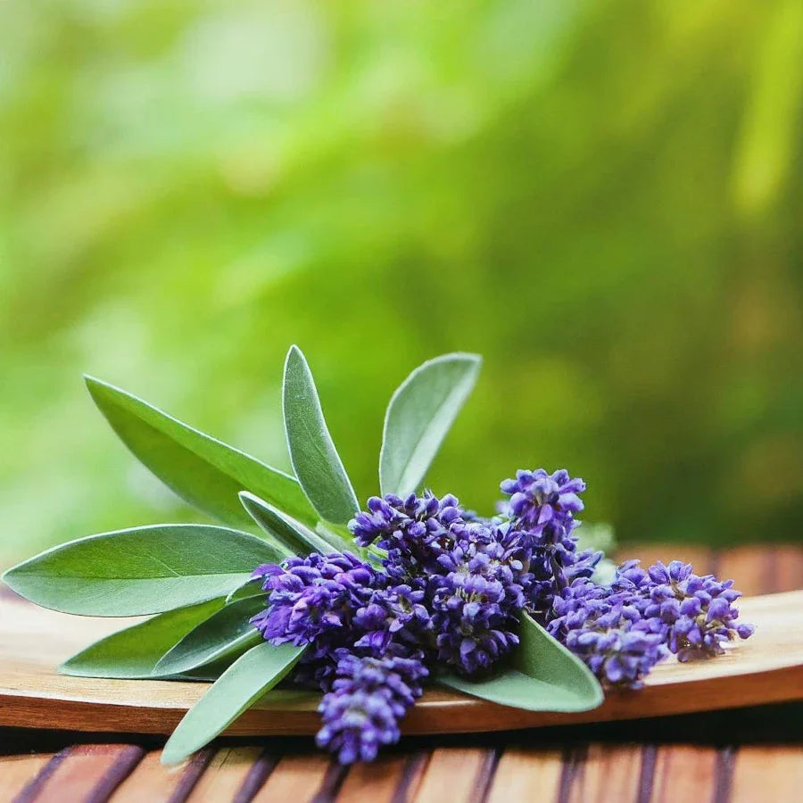 Lavender Sage- 12oz Candle
