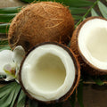 Coconut- 12oz Candle
