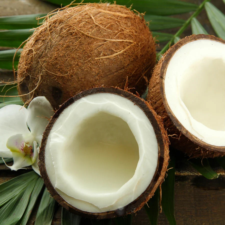 Coconut- 12oz Candle