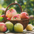 Crisp Pear and Macintosh