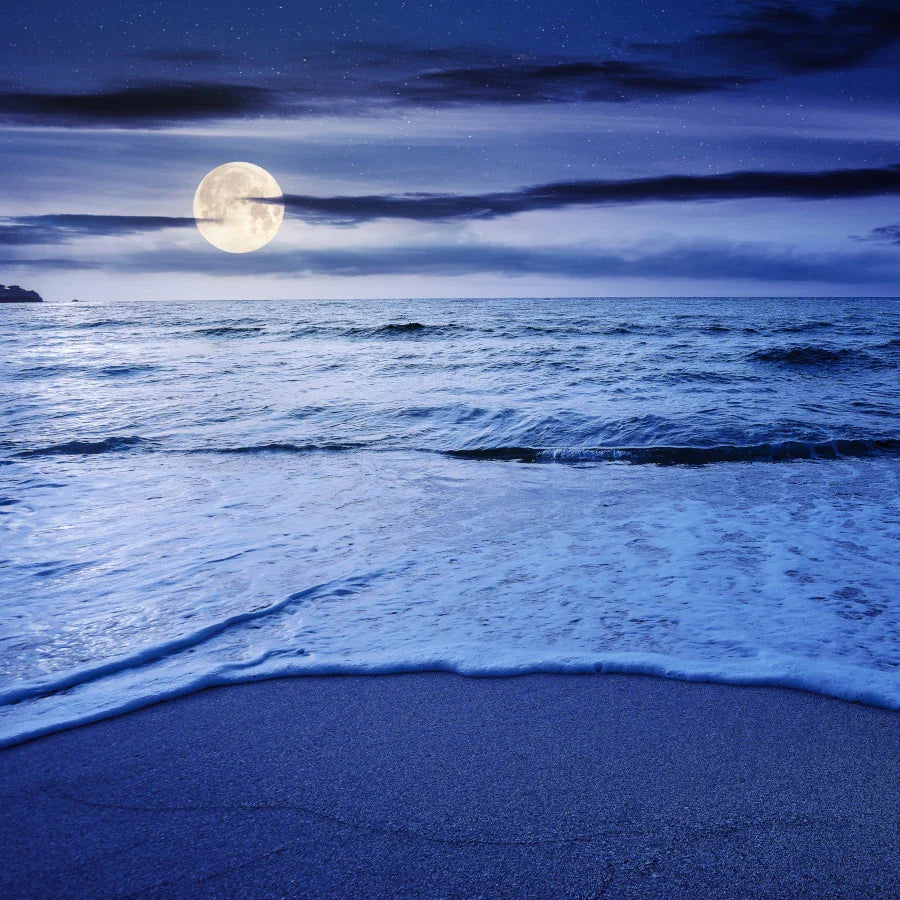 Moonlit Bay- 12oz Candle