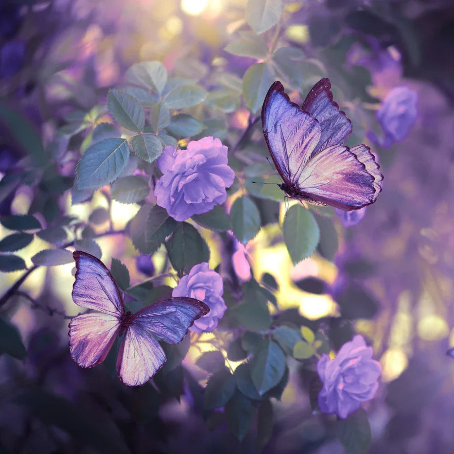 Enchanted Violet- 12oz Candle