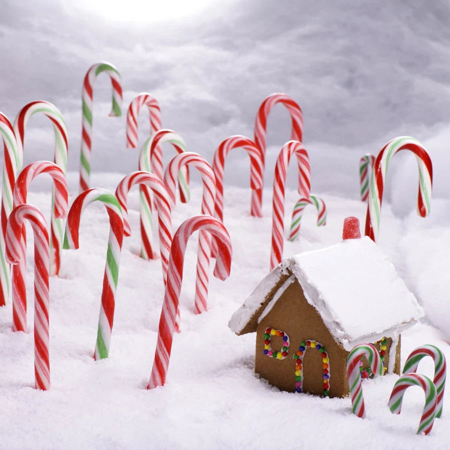 North Pole