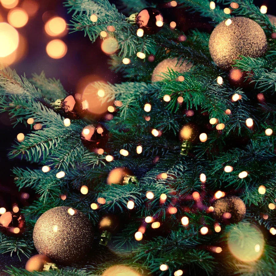 Christmas Memories