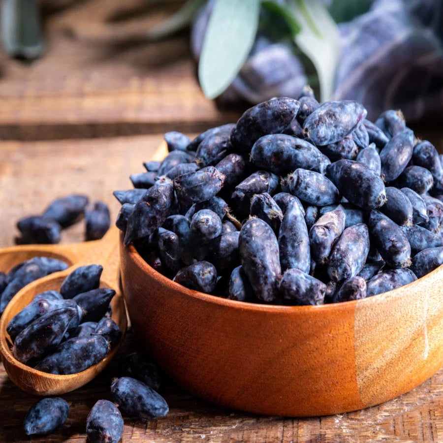 Blue Honeyberry