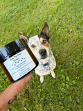 Tallow Toe Bean Cream- 2oz