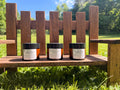 Whipped Tallow- Summer Signature Scent Bundle